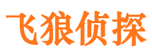 陵川侦探公司